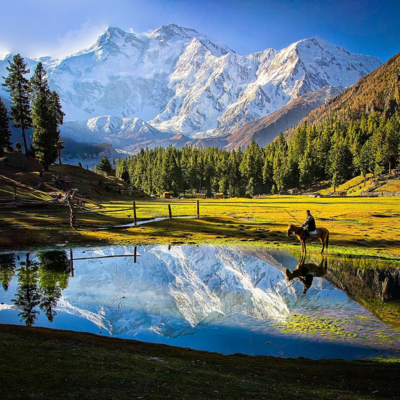Fairy Meadows.