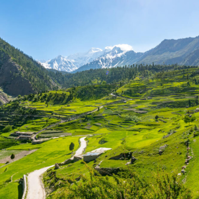 Rama Valley and Forest Astore