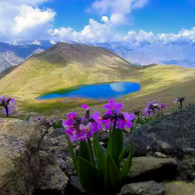 Rush Lake